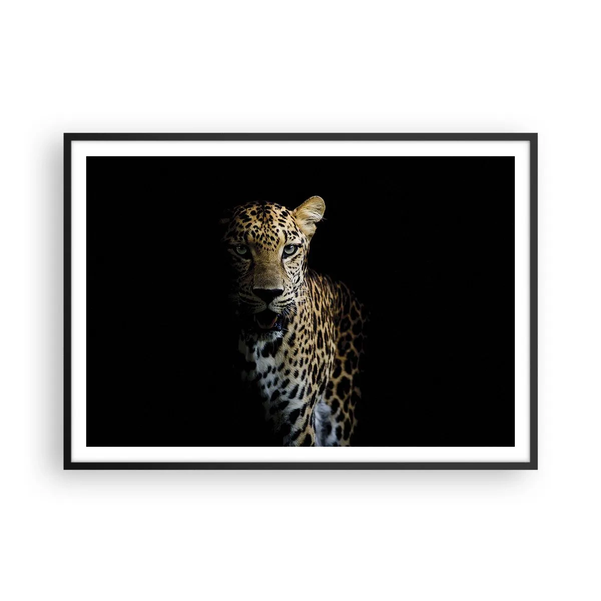arttor2-239172
