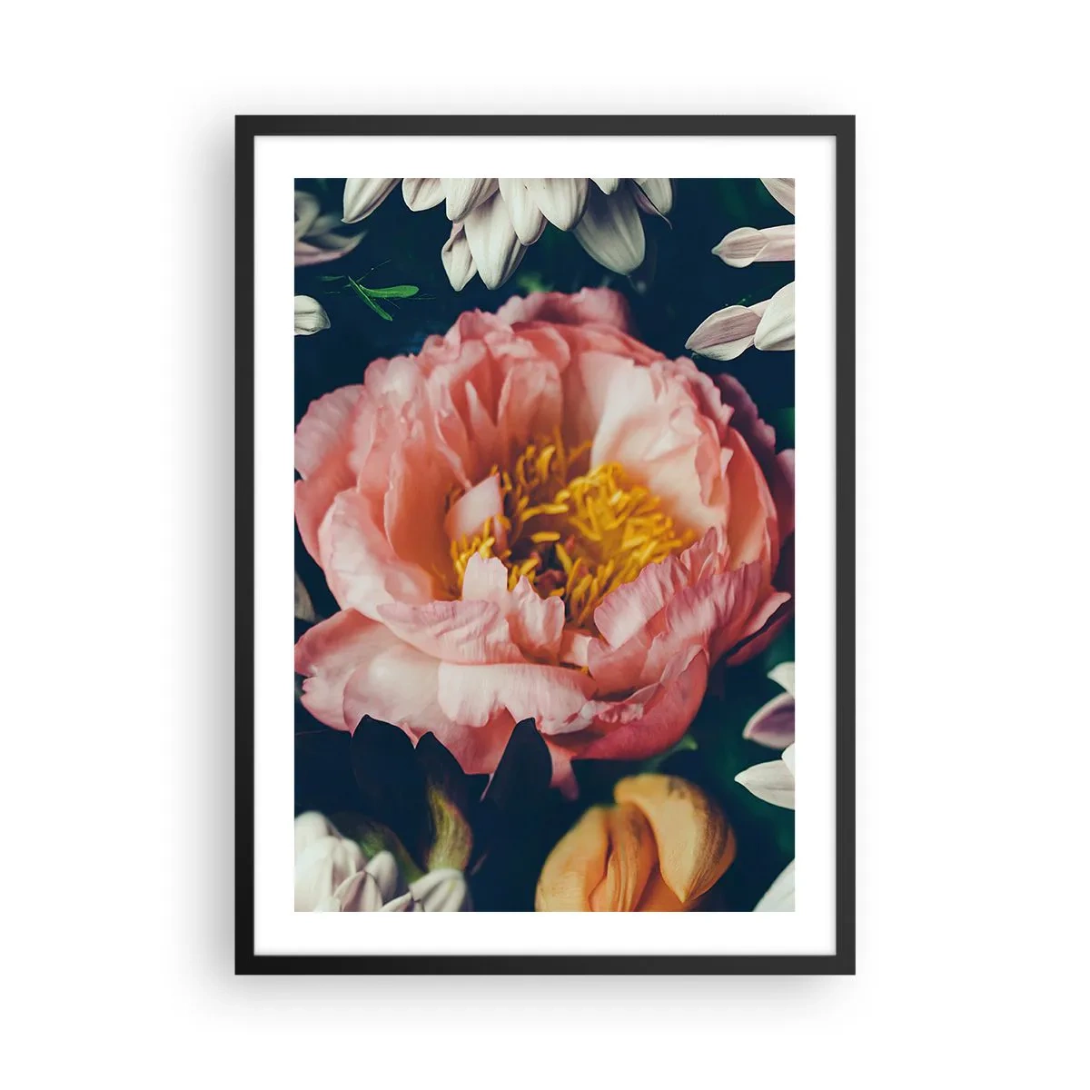 arttor2-239552