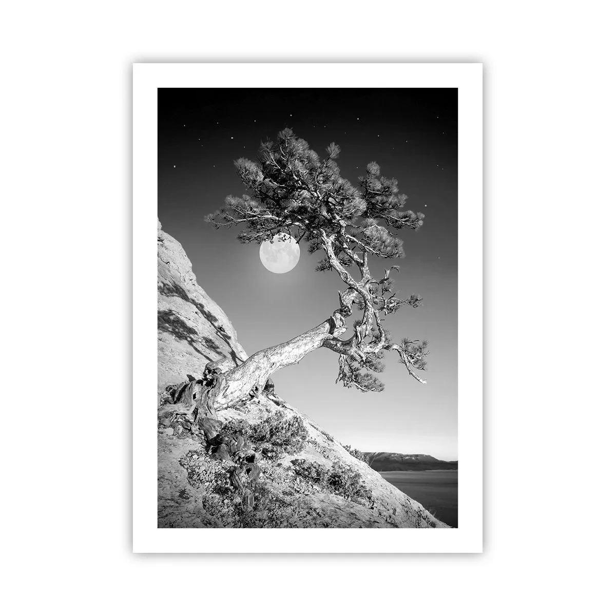 arttor2-239699