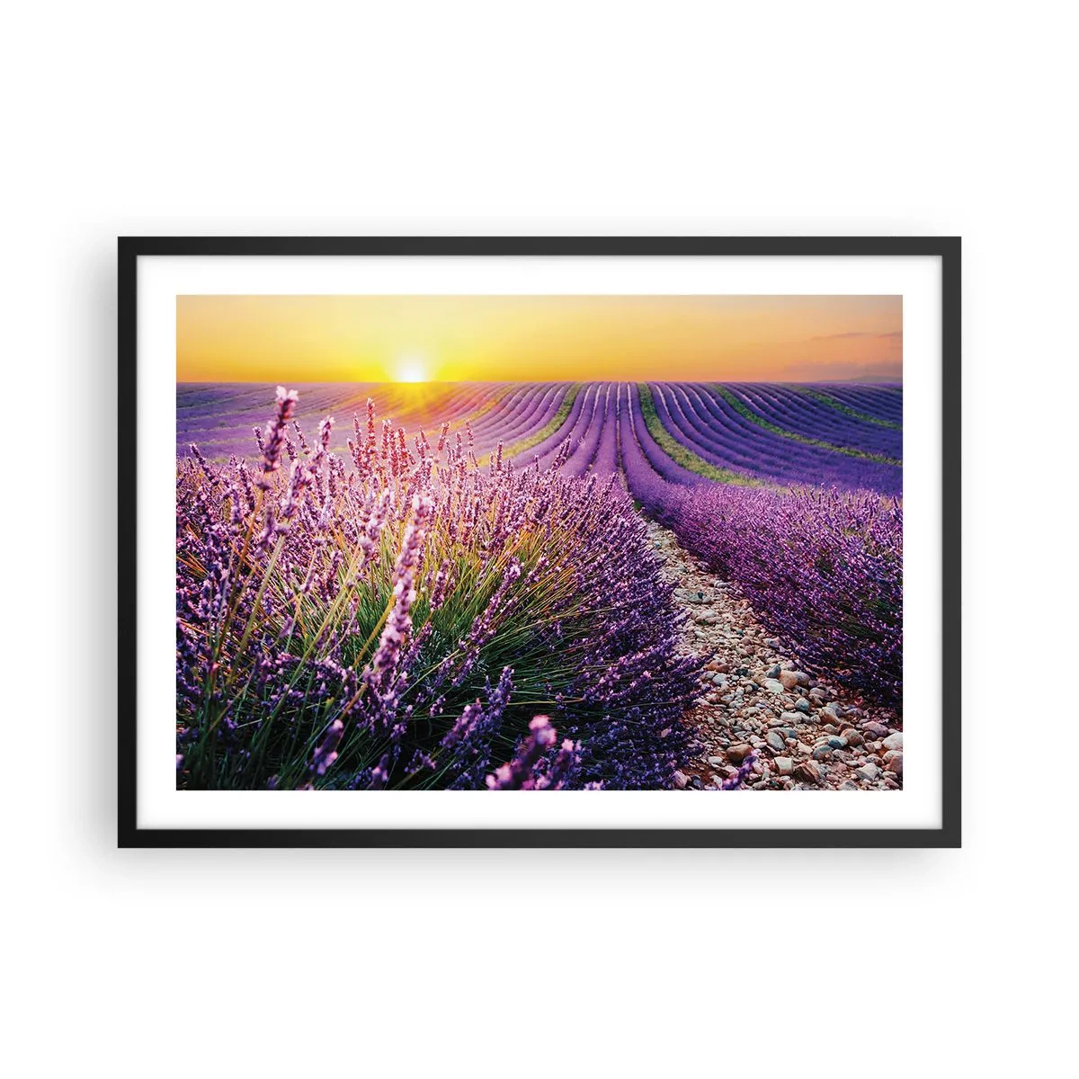 arttor2-239770