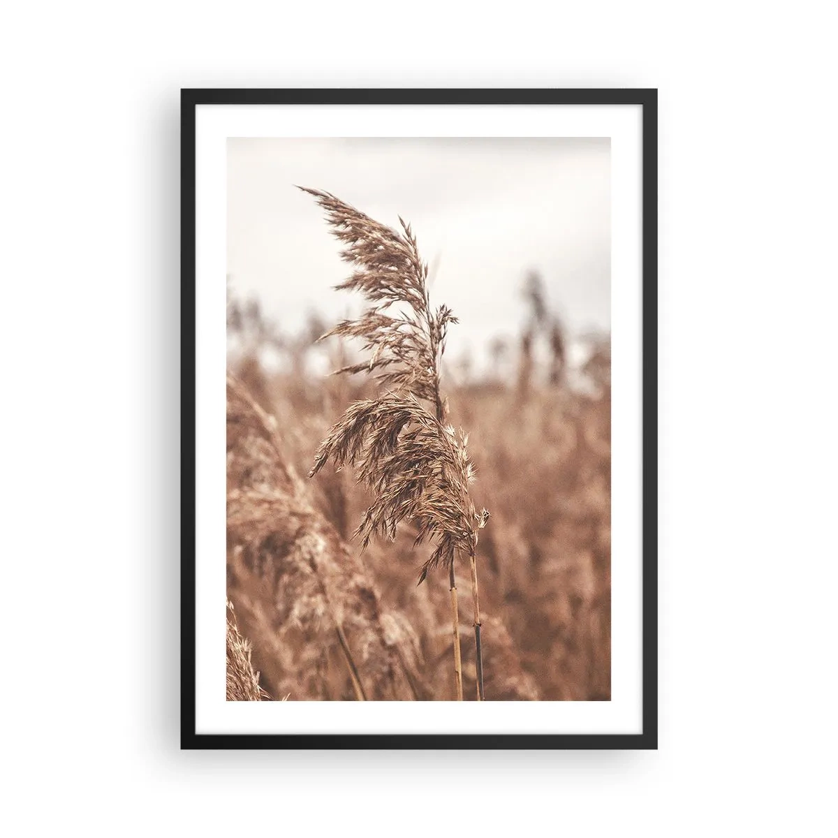 arttor2-239790