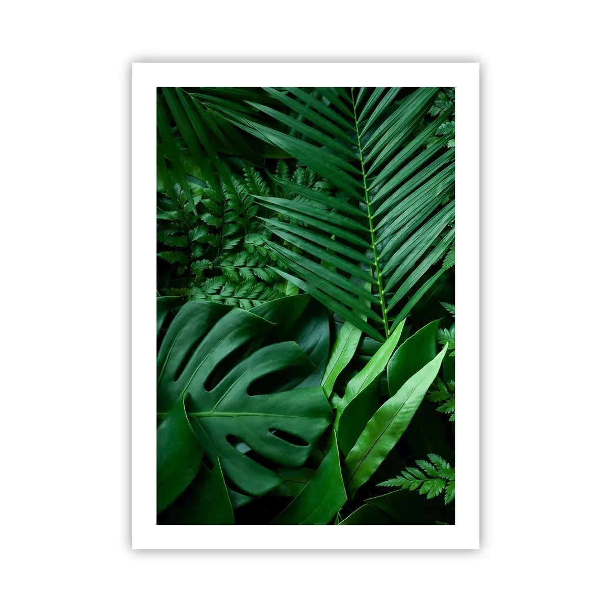 arttor2-239976