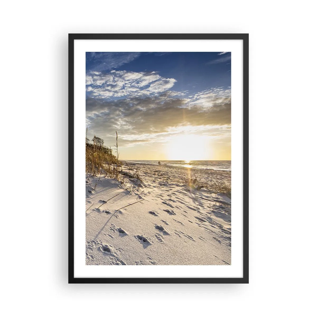 arttor2-240156