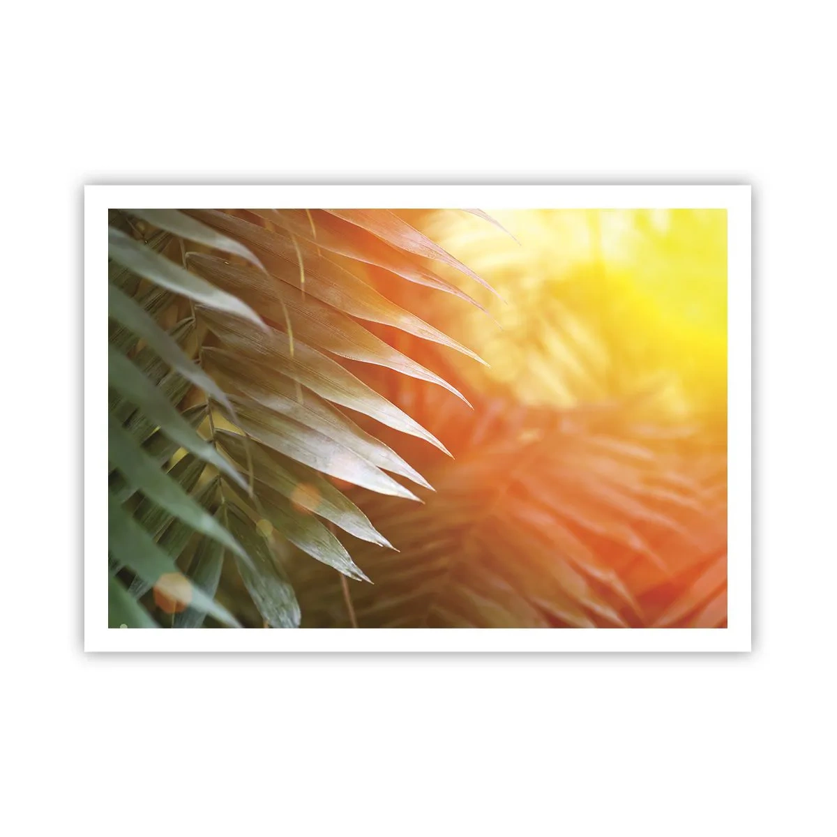 arttor2-240283
