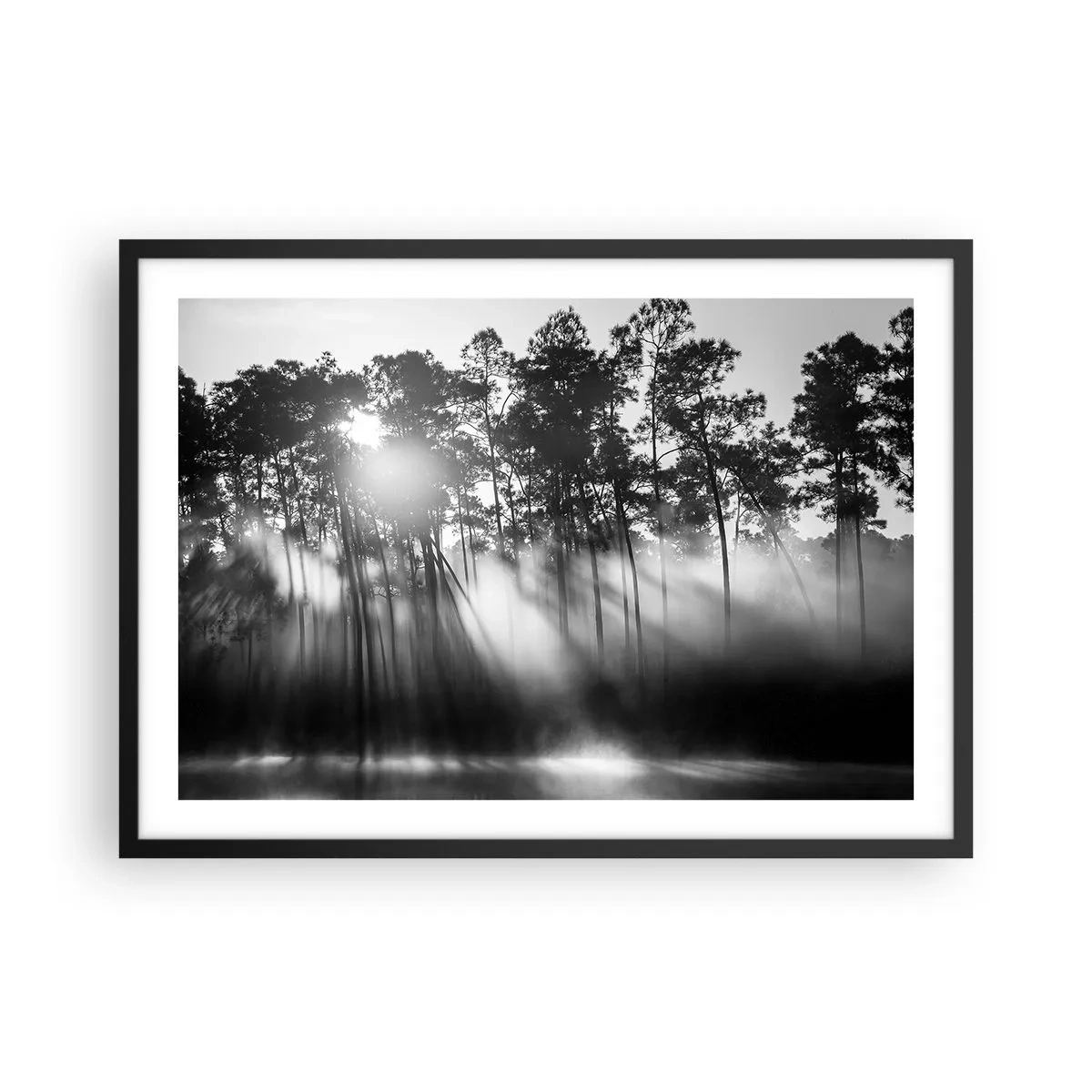 arttor2-240391
