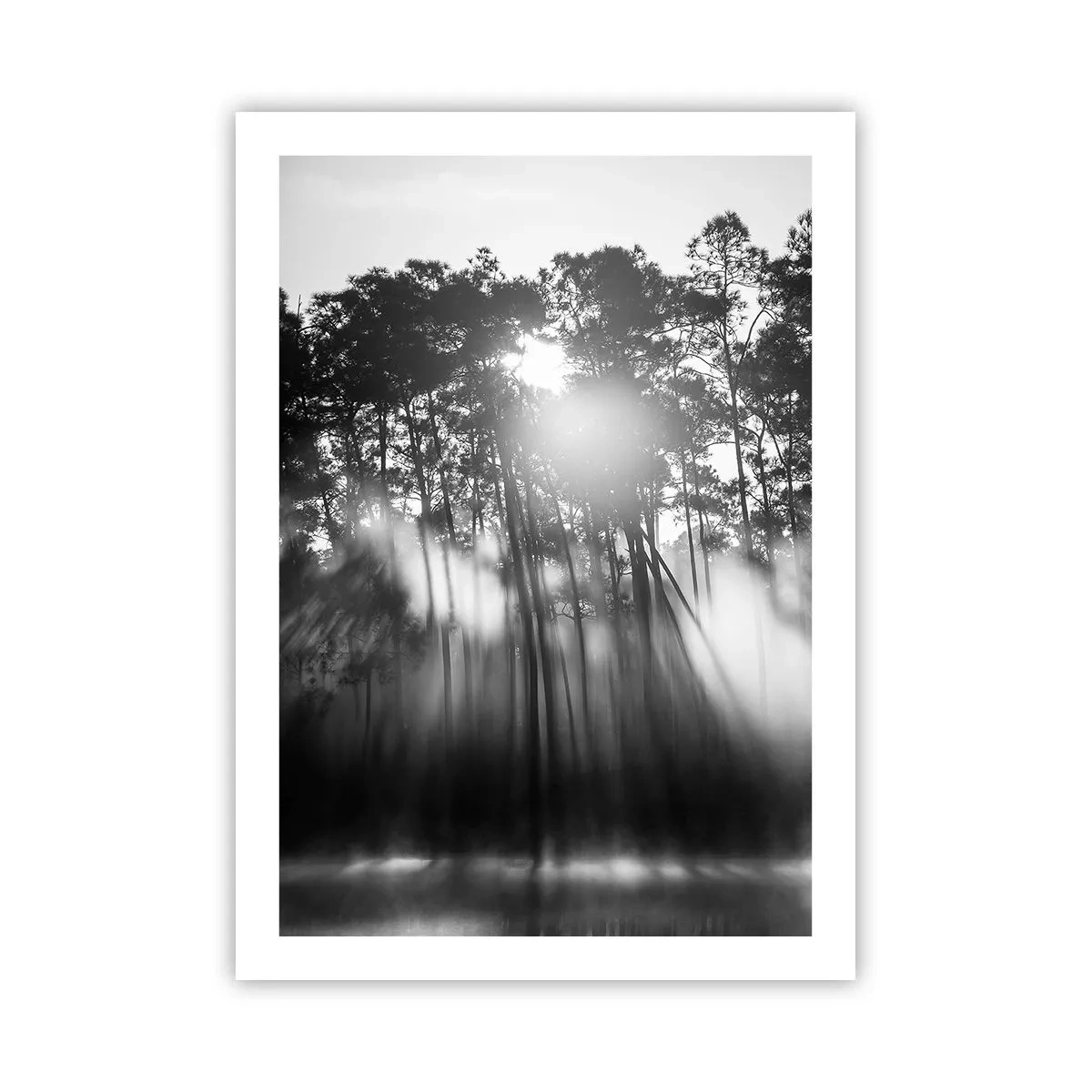 arttor2-240392