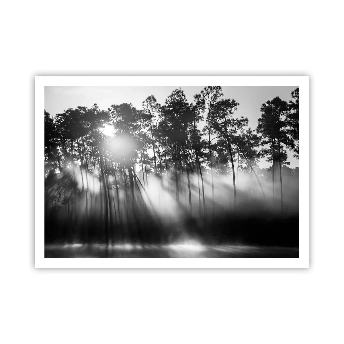 arttor2-240397