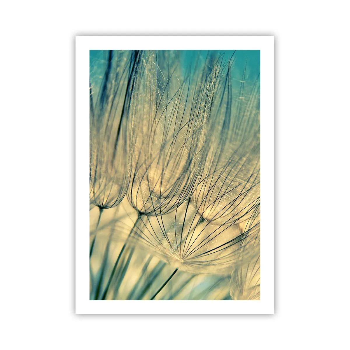 arttor2-240479