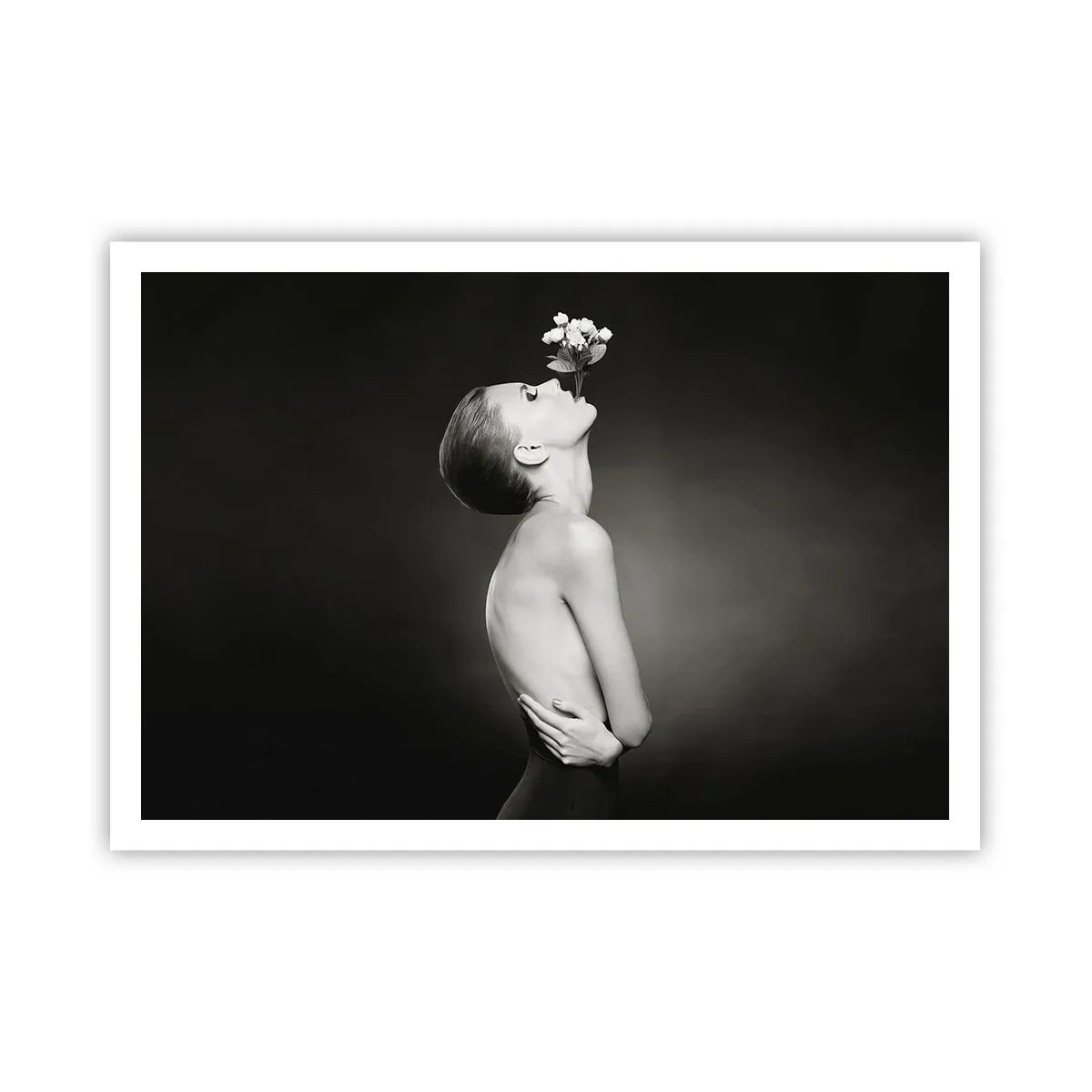 arttor2-240493