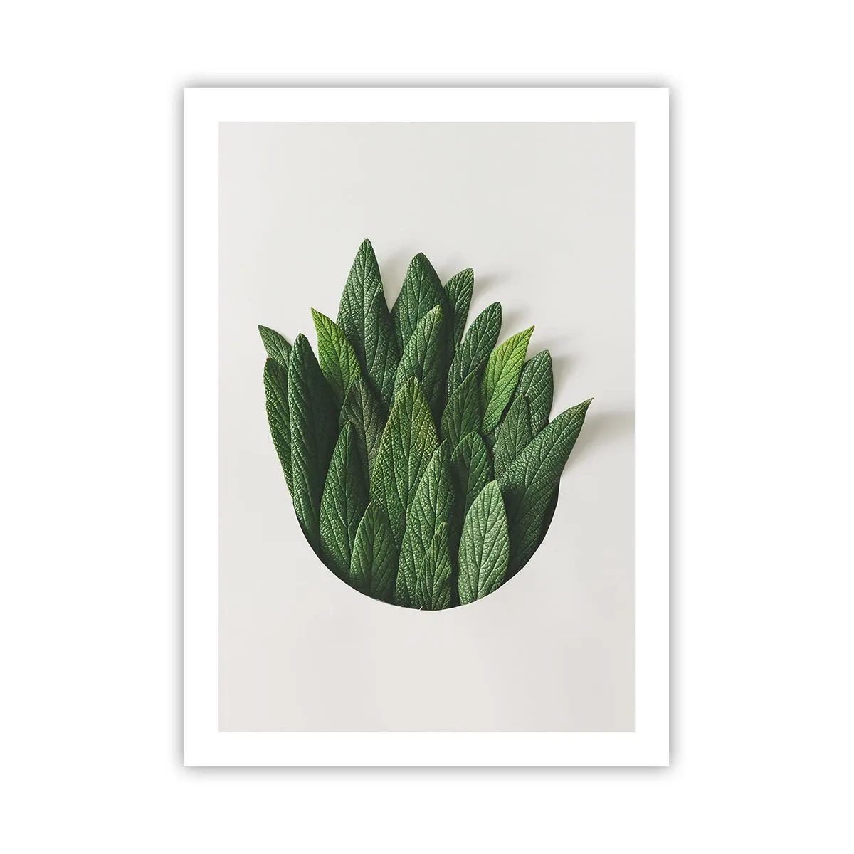 arttor2-240542
