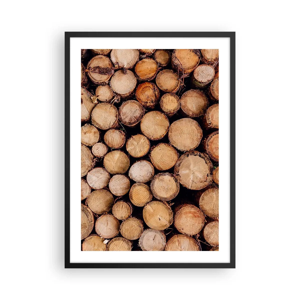arttor2-240573