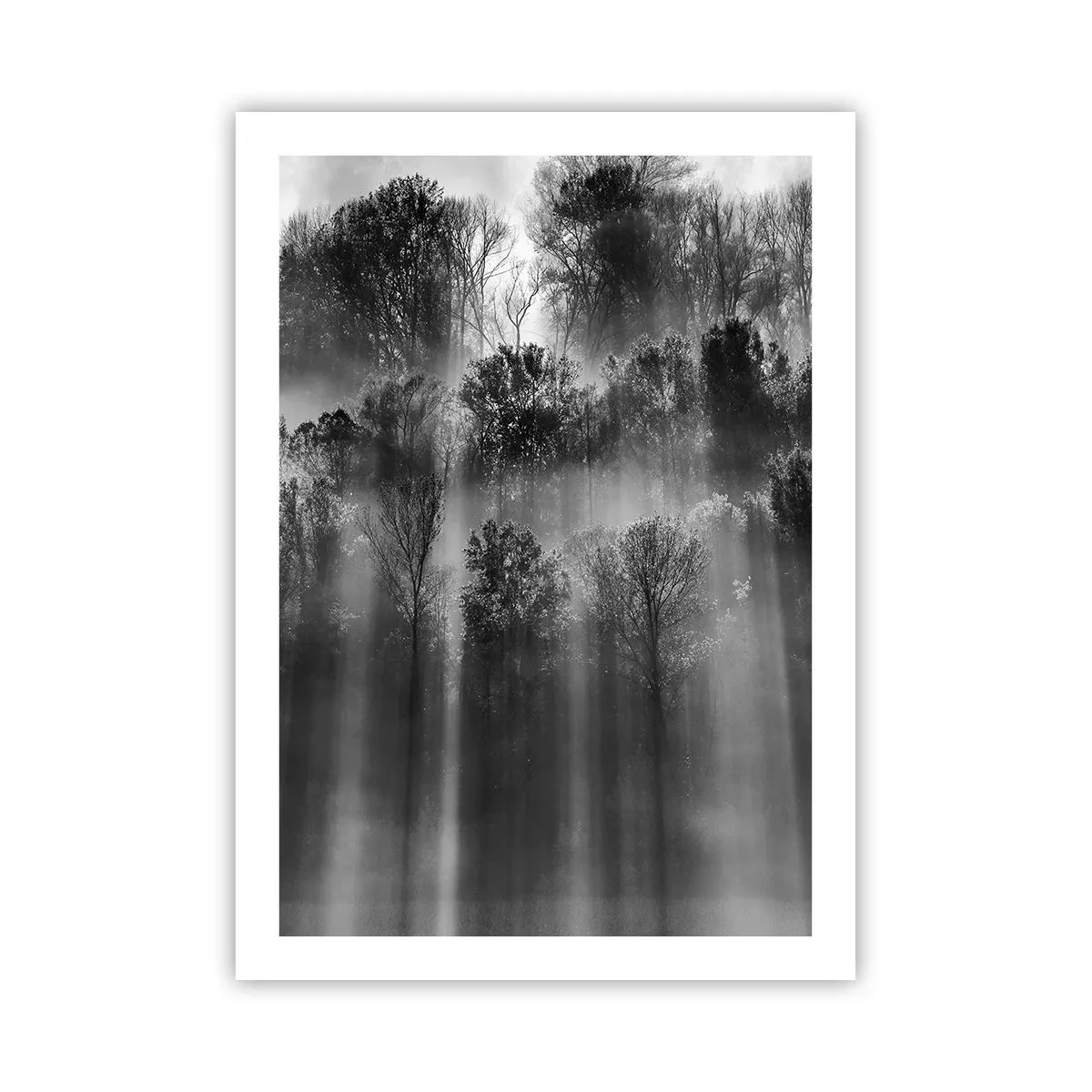 arttor2-240690
