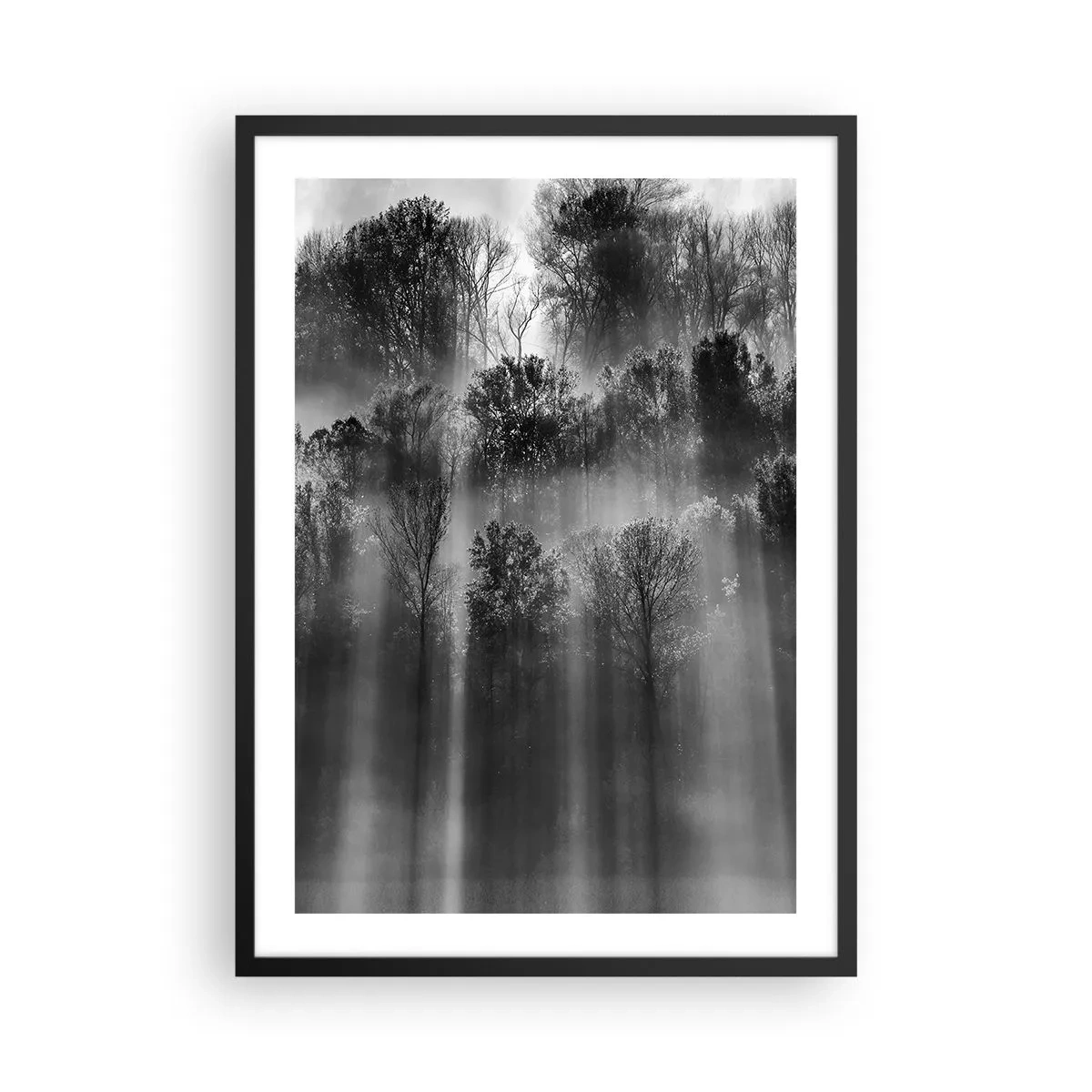 arttor2-240708