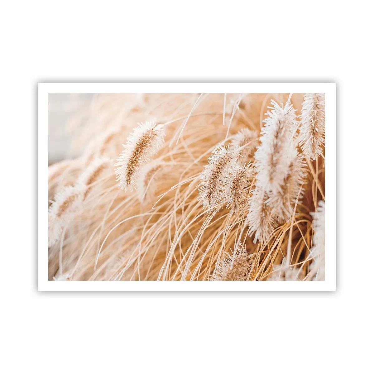 arttor2-240760