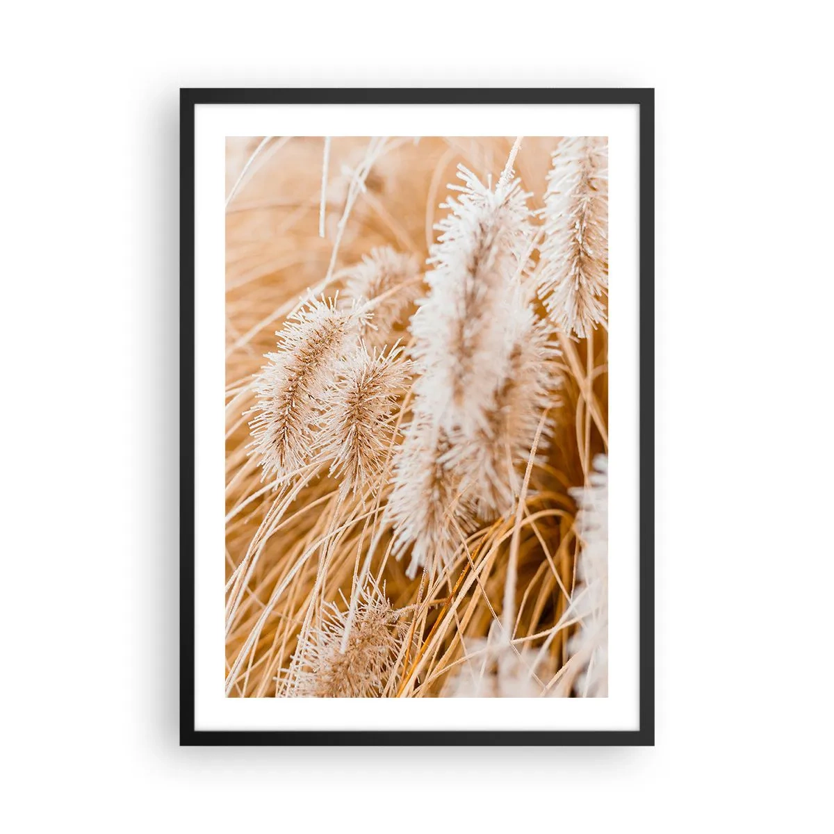 arttor2-240764