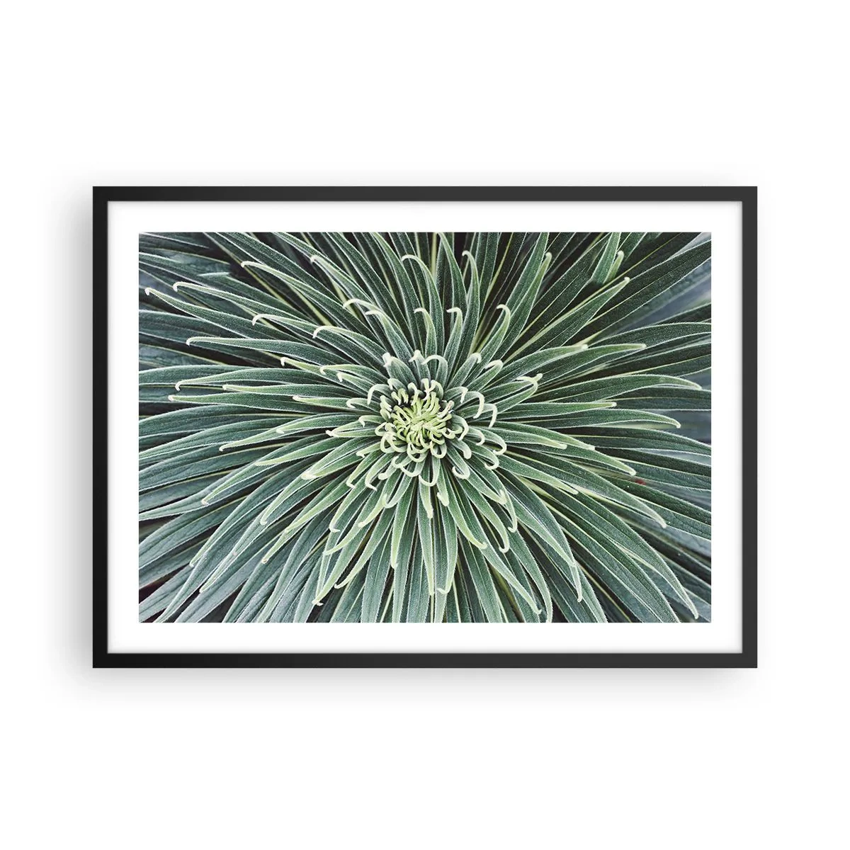 arttor2-240774