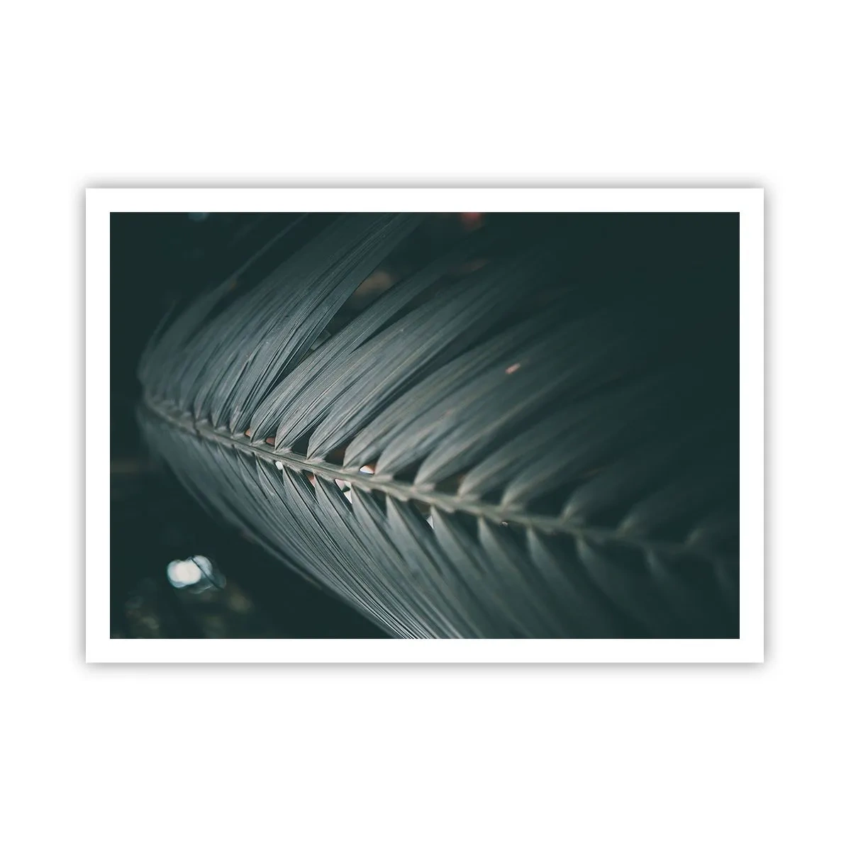 arttor2-240784