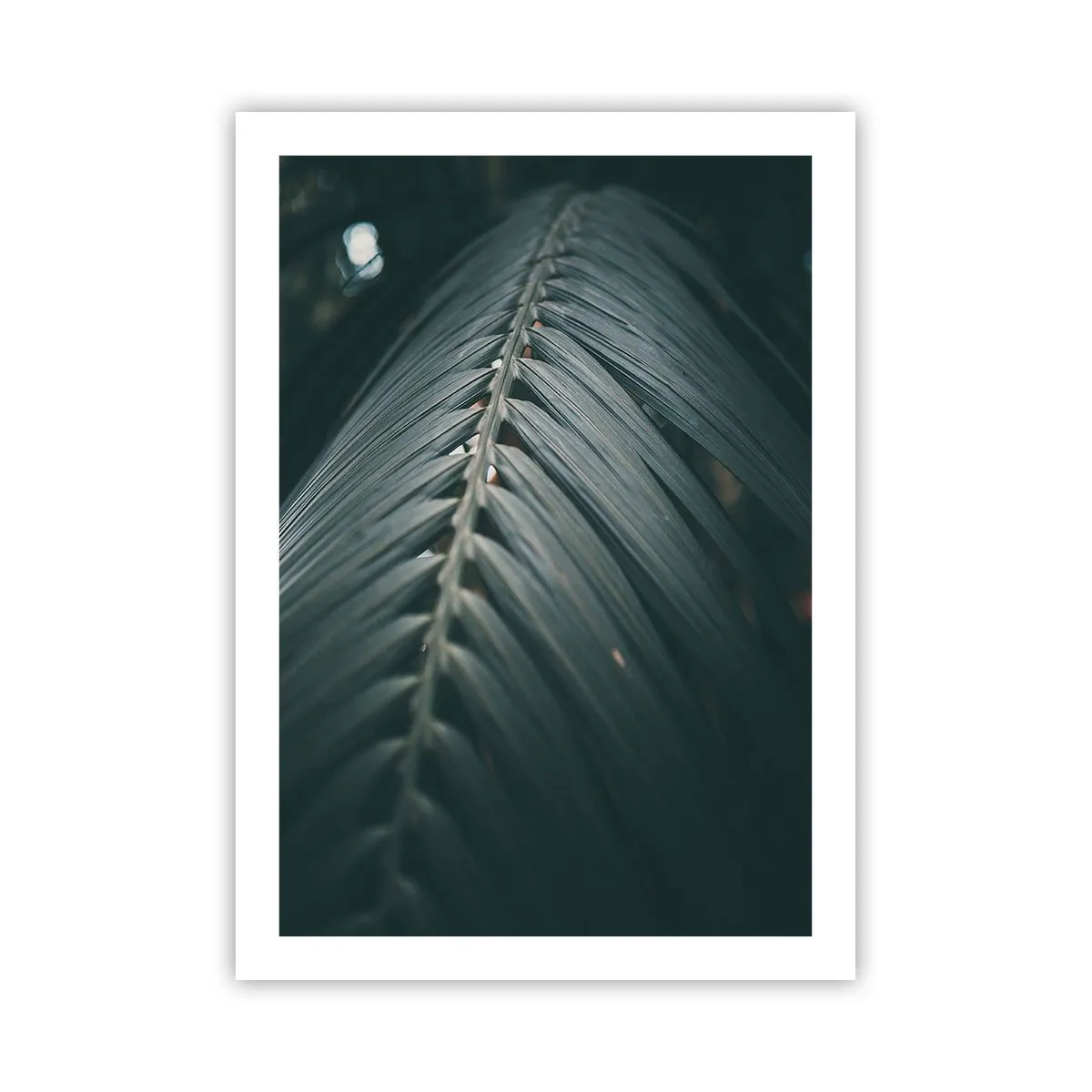 arttor2-240785