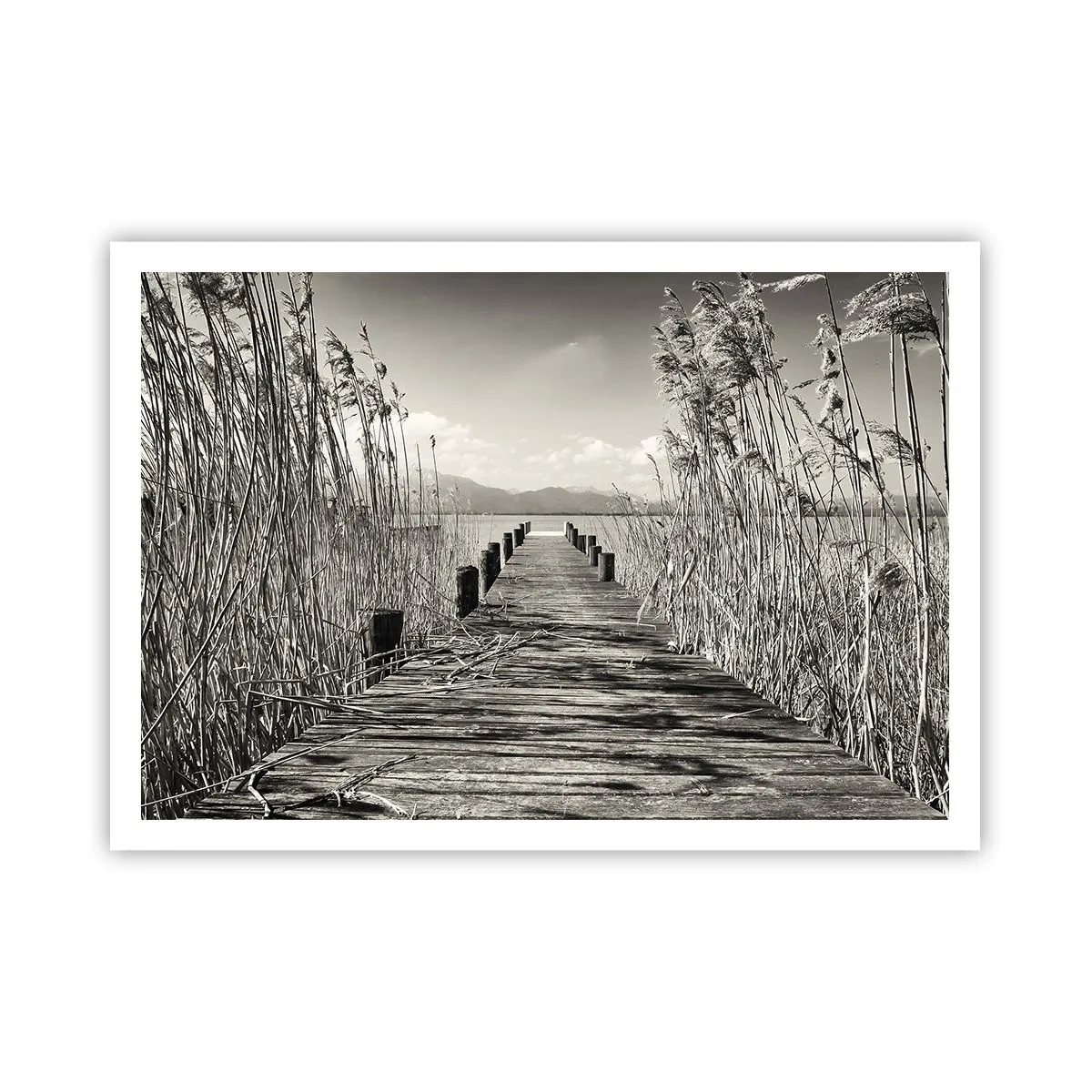 arttor2-240887