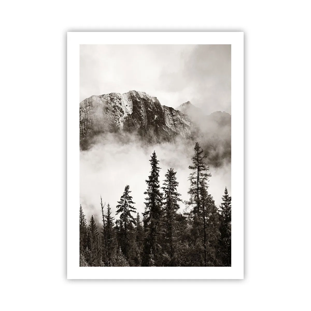 arttor2-240930
