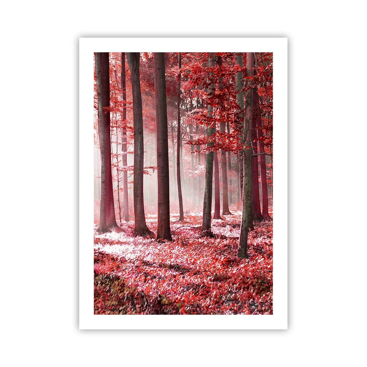 arttor2-240966