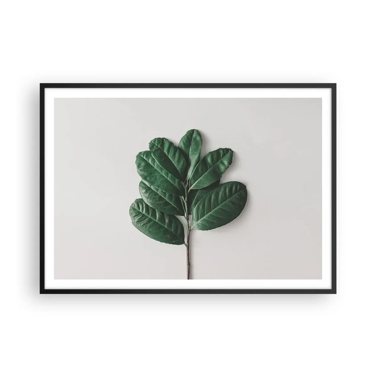 arttor2-241030