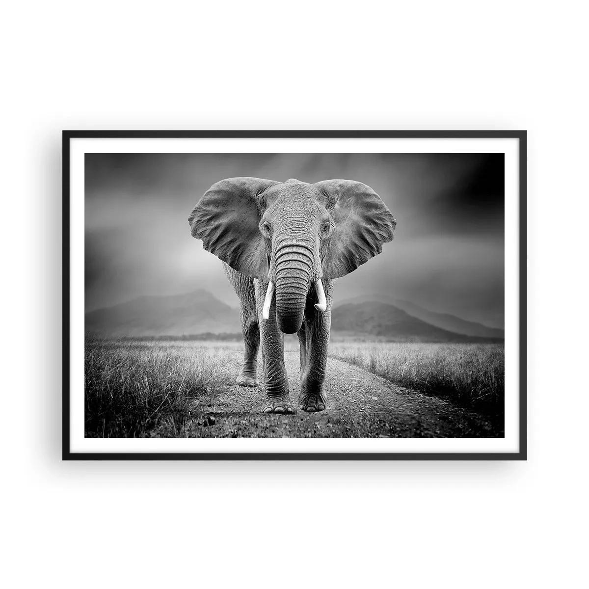 arttor2-241075