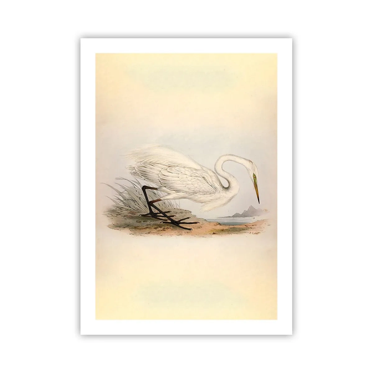 arttor2-241144