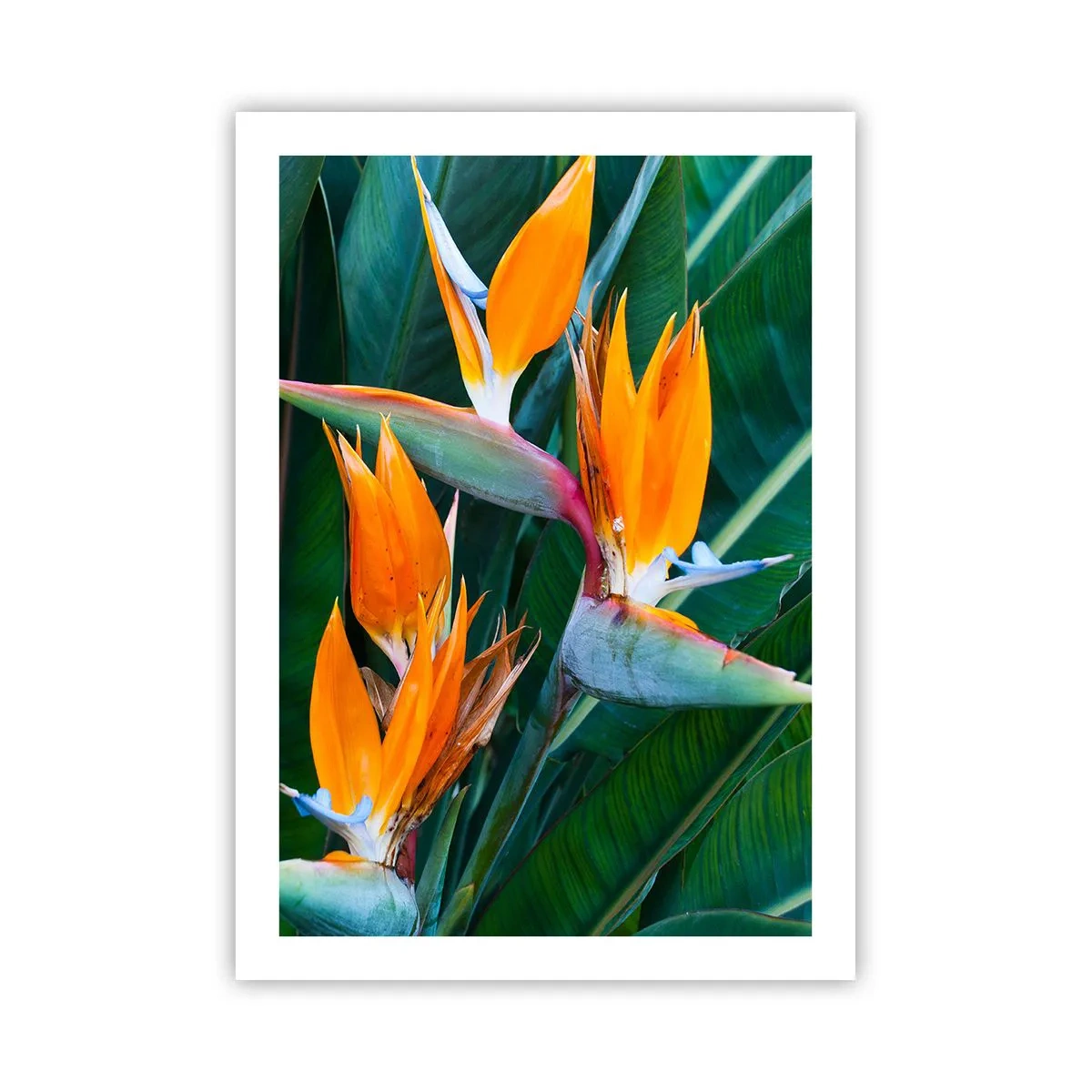 arttor2-241145