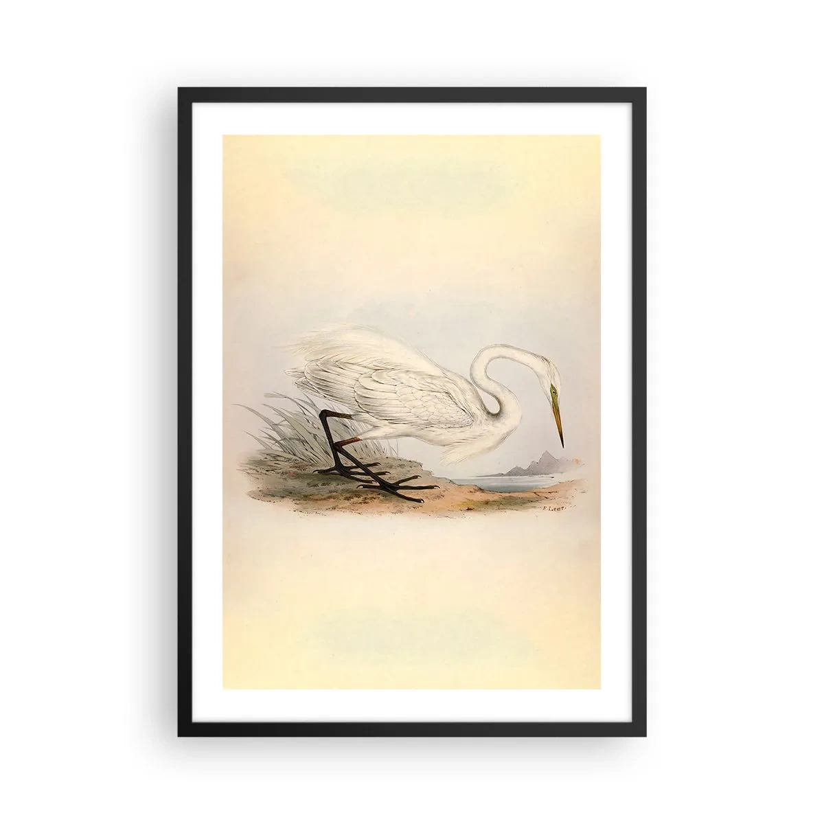 arttor2-241150