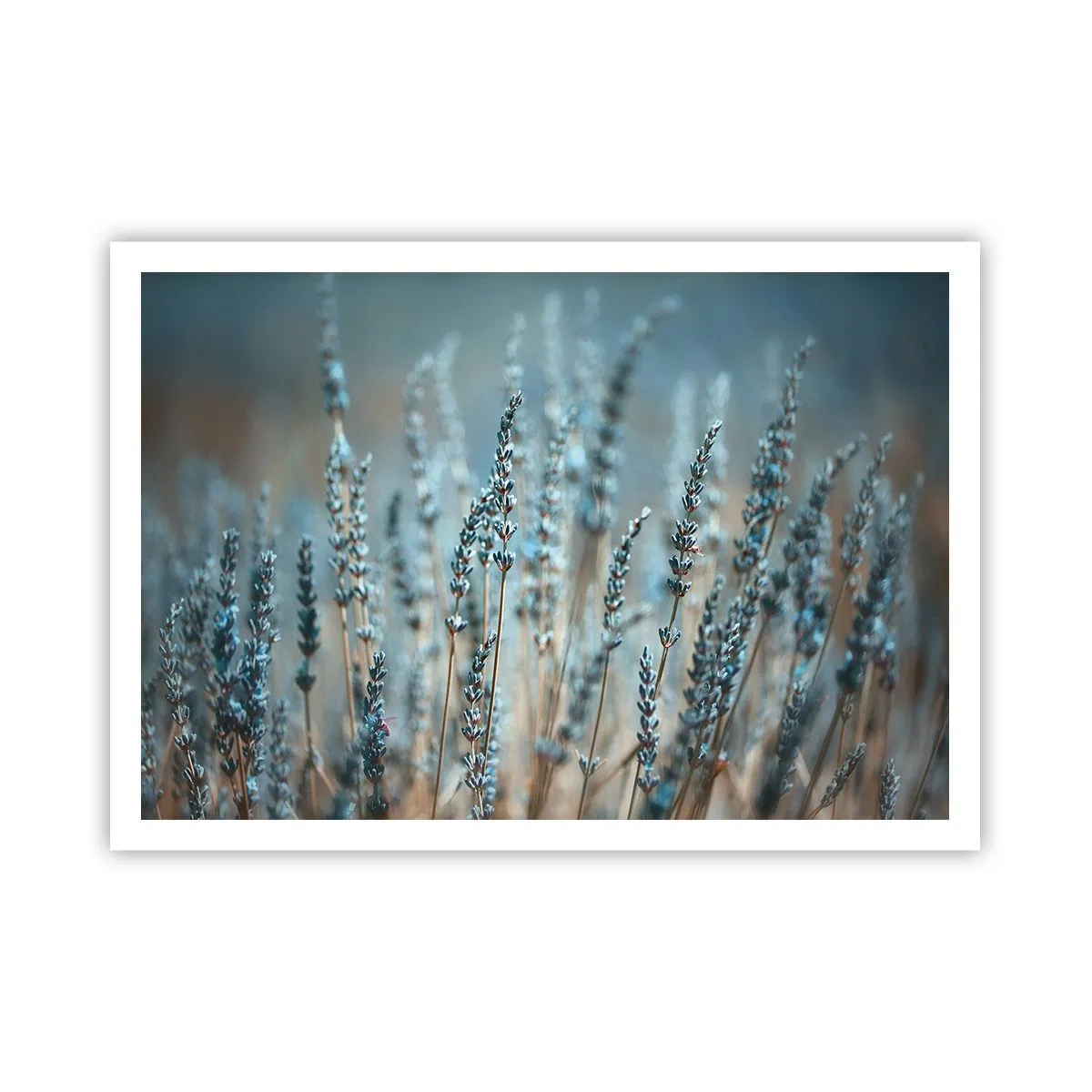 arttor2-241178
