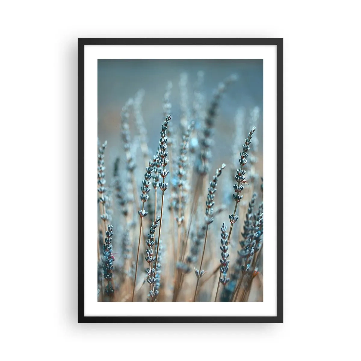 arttor2-241180