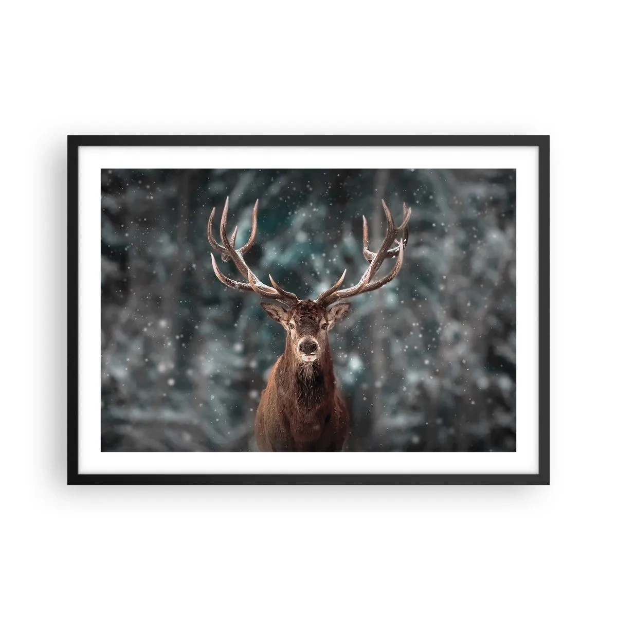 arttor2-241242