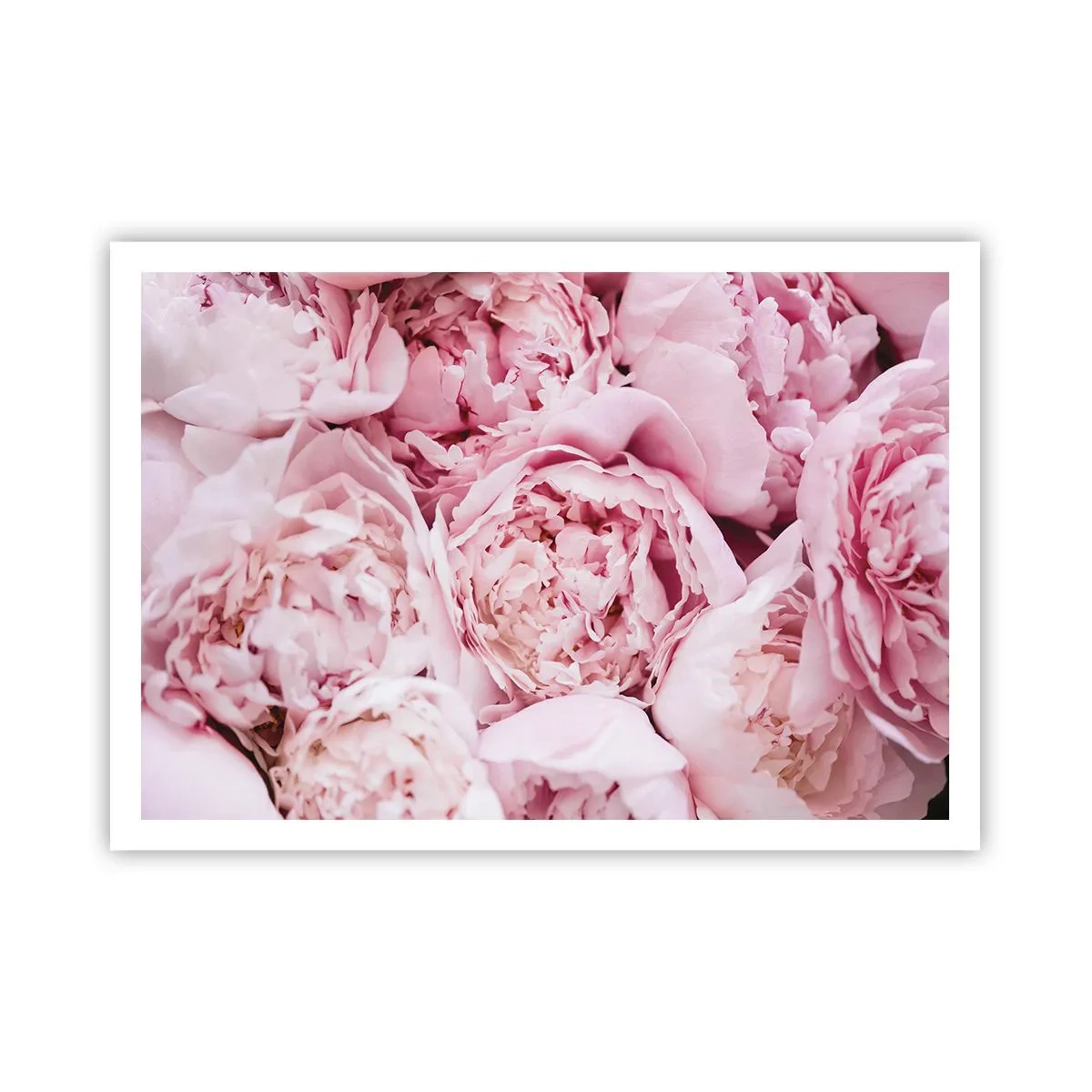 arttor2-241254