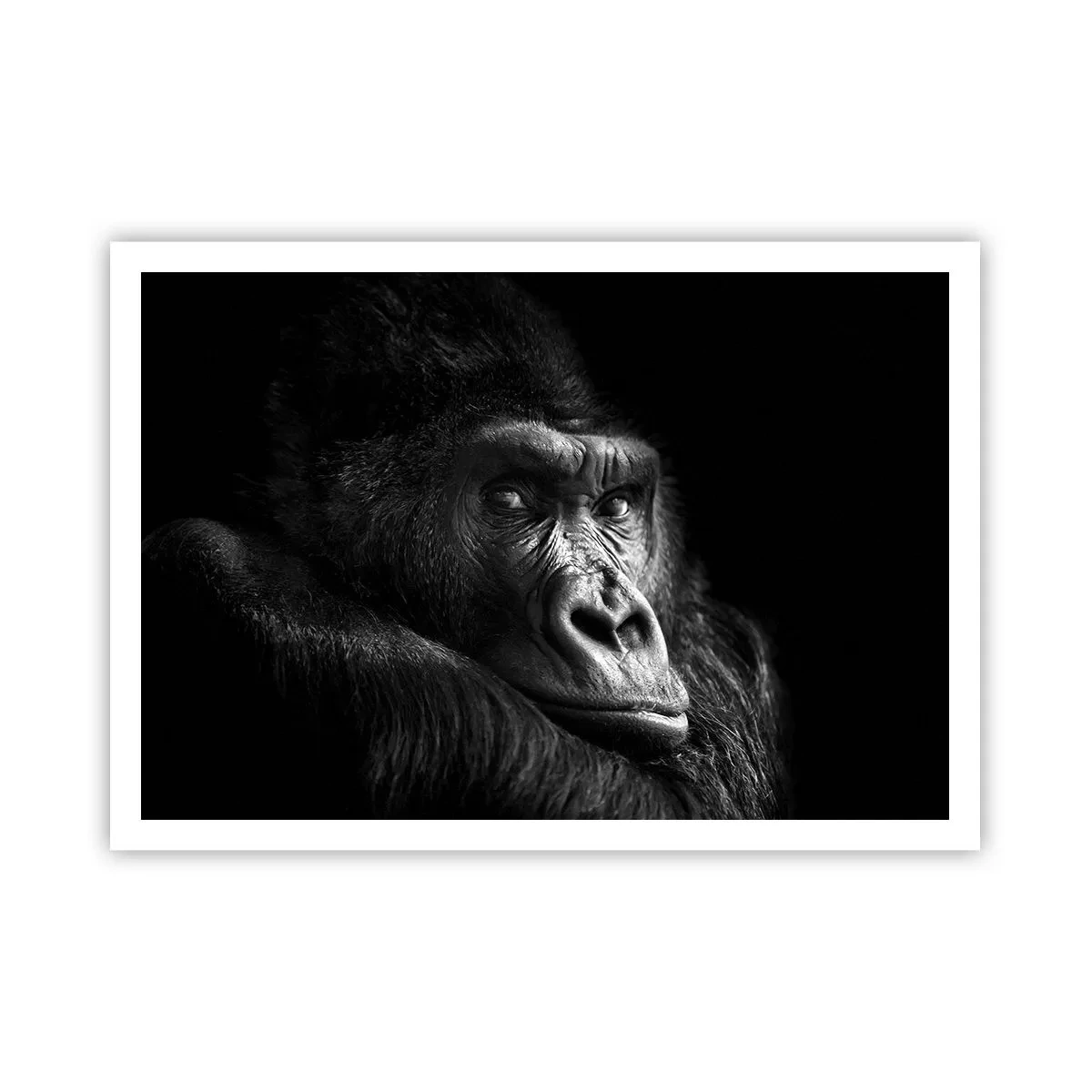 arttor2-241275