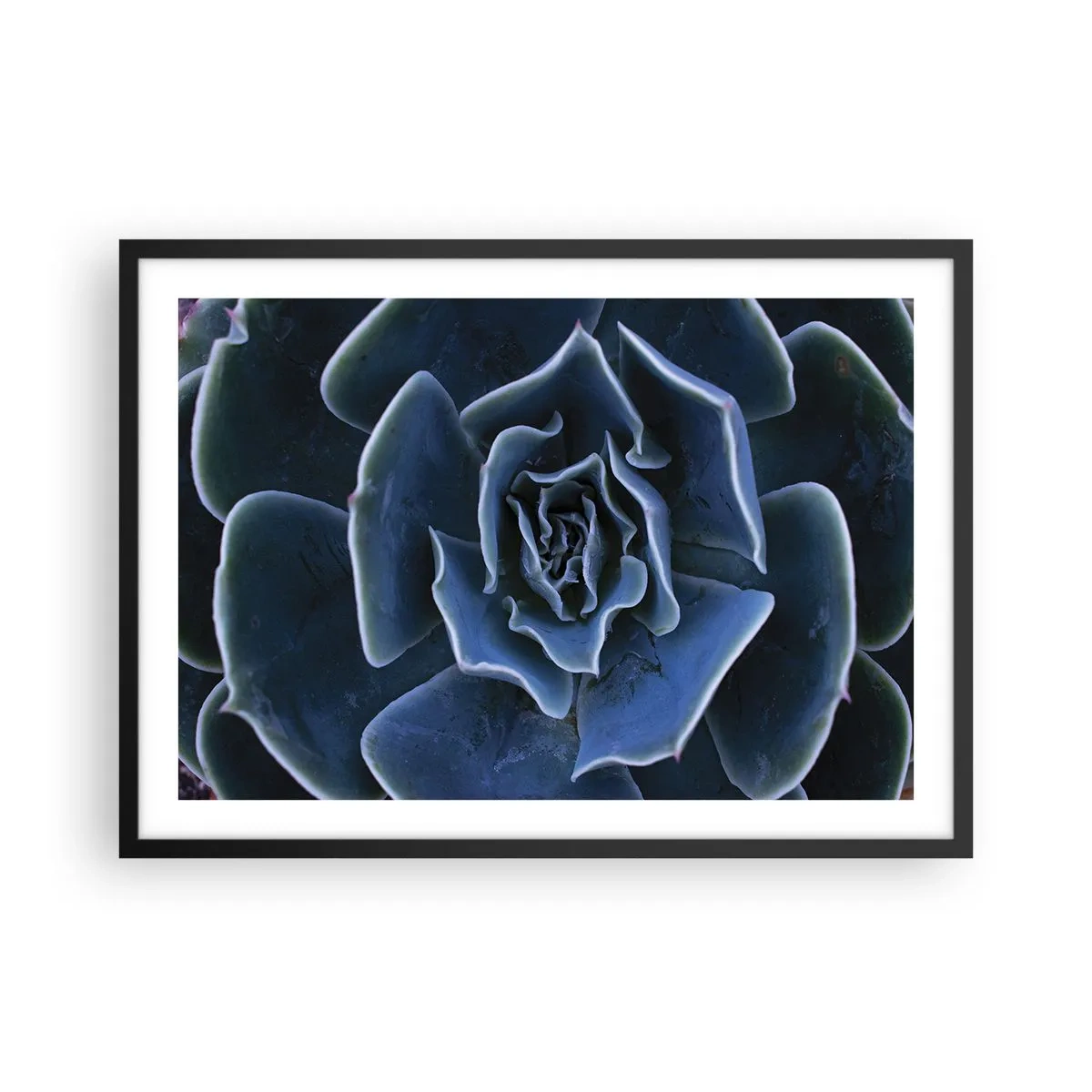 arttor2-241288