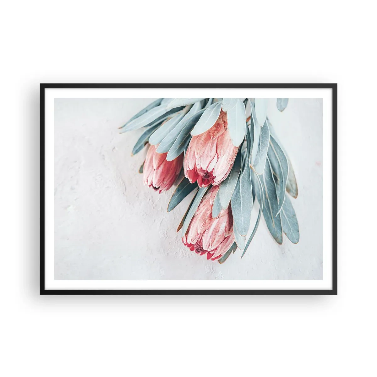 arttor2-241326