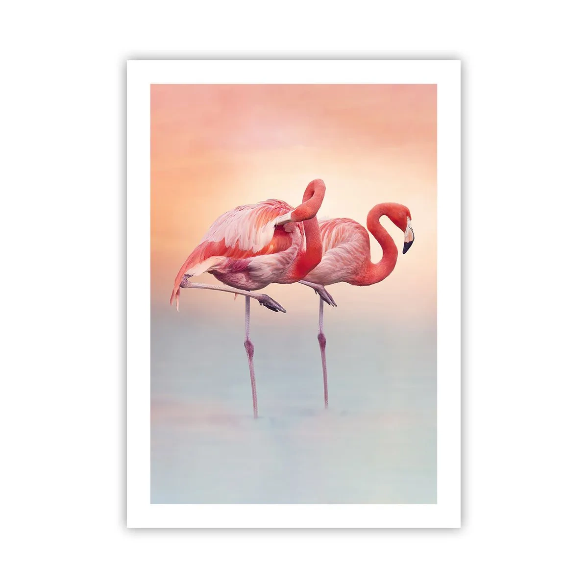 arttor2-241471