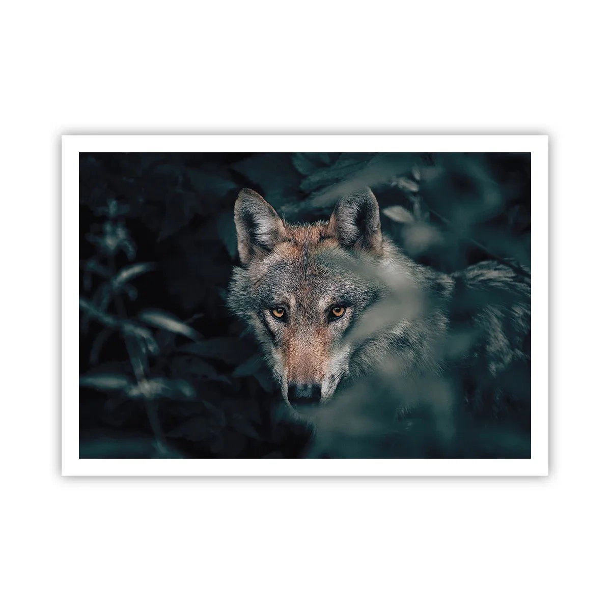 arttor2-241510
