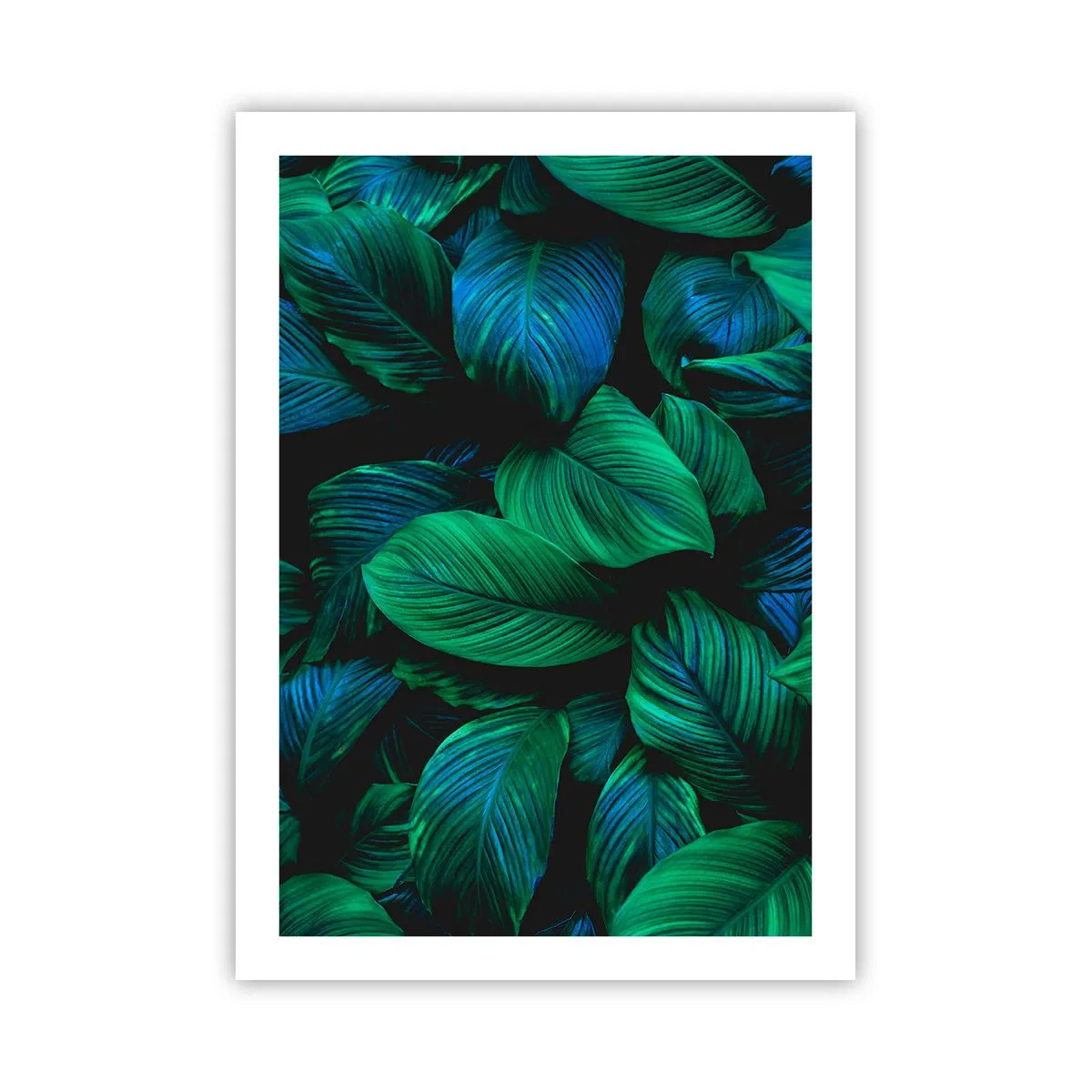 arttor2-241575
