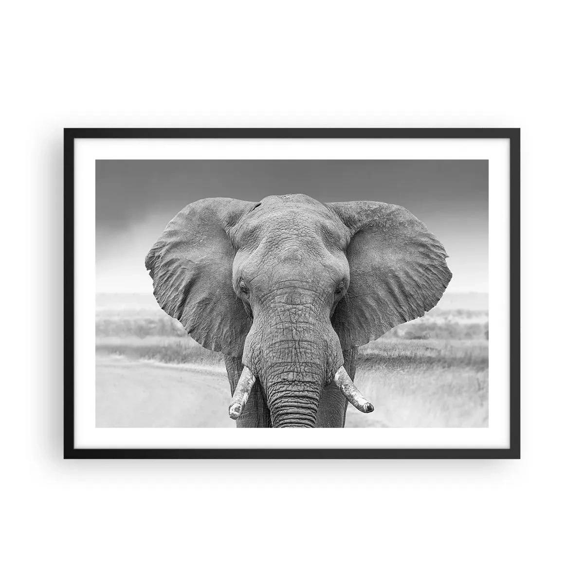arttor2-241604
