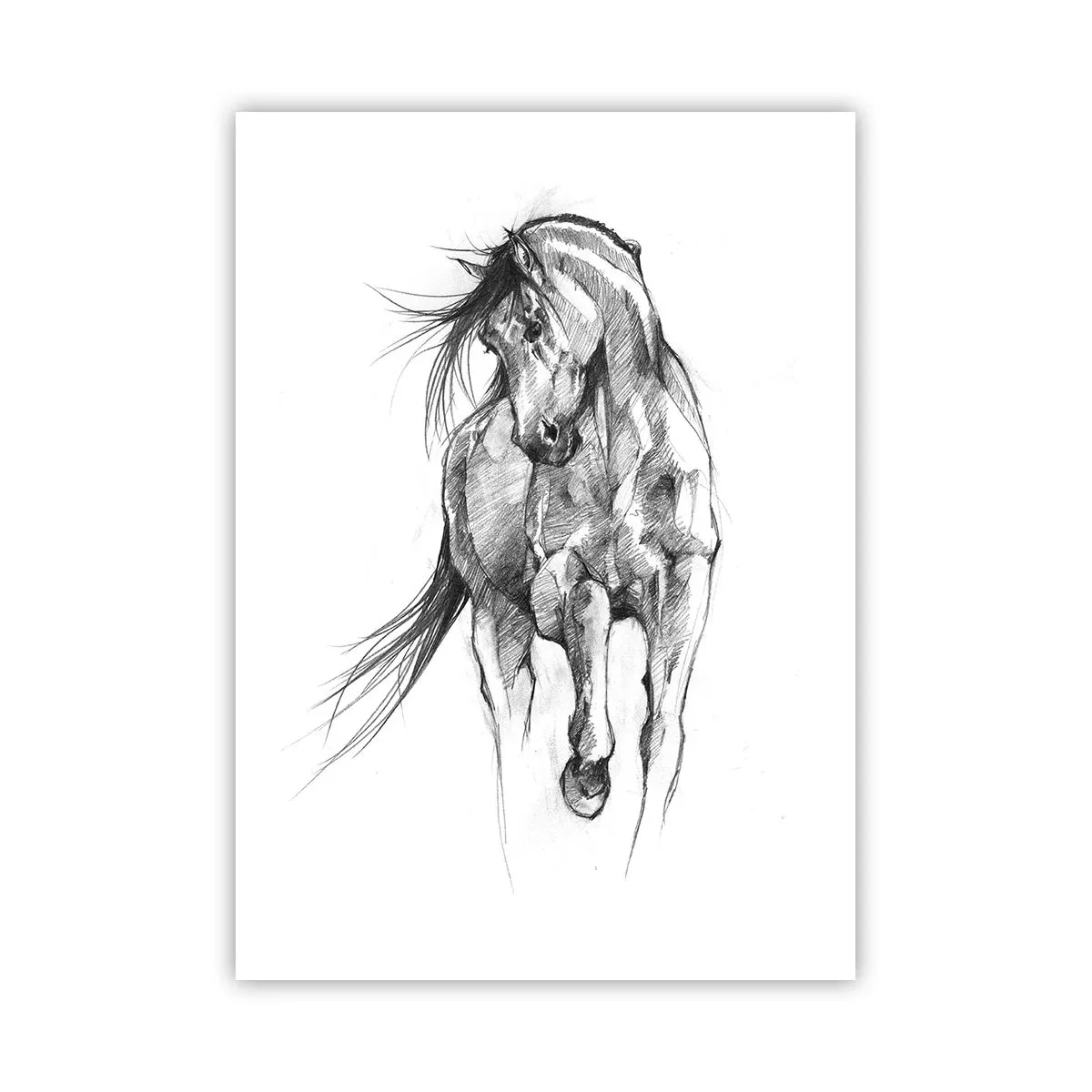 arttor2-241643