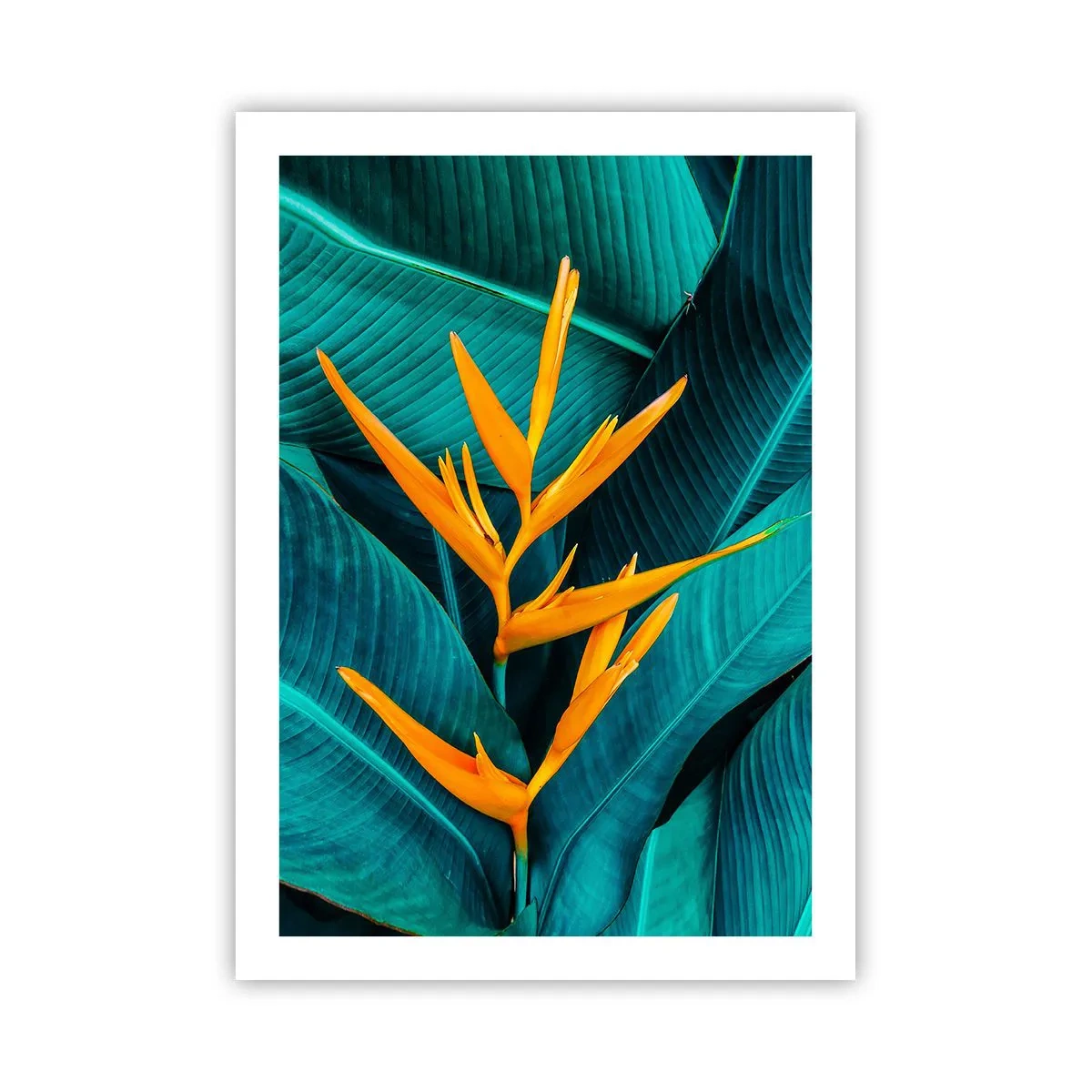 arttor2-241827