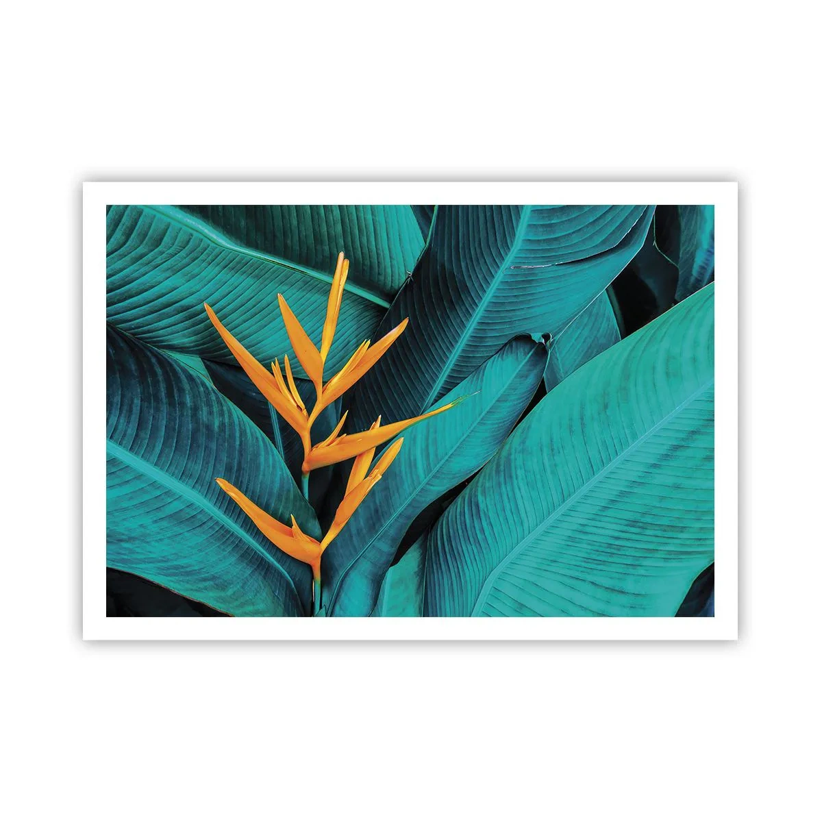 arttor2-241828