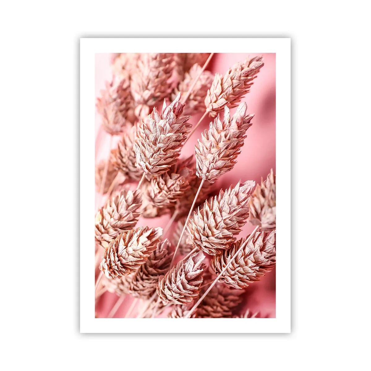 arttor2-241852