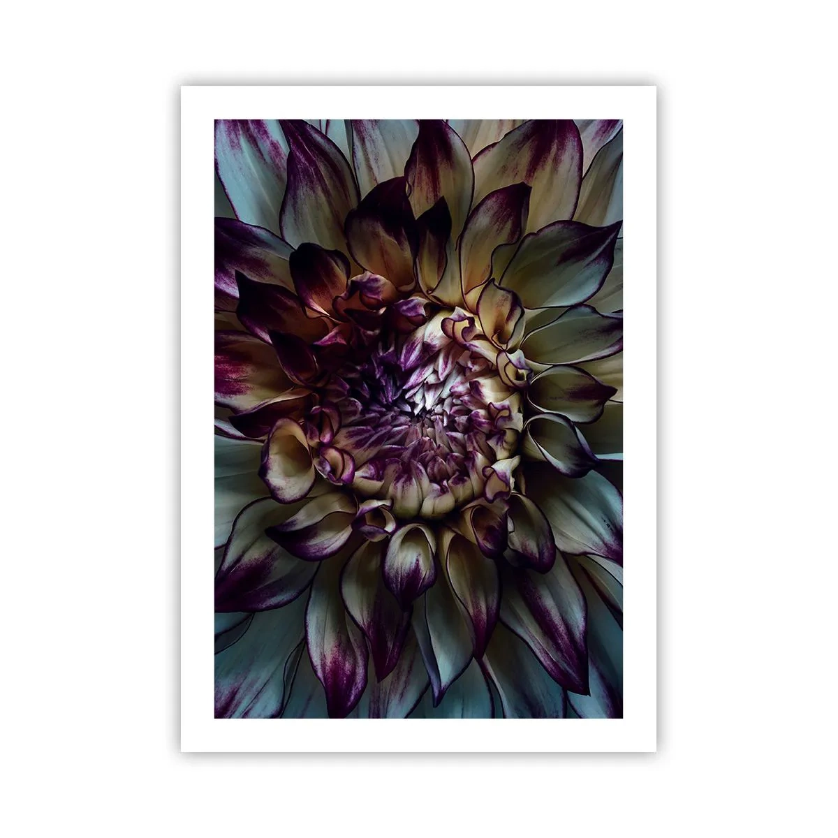 arttor2-241860