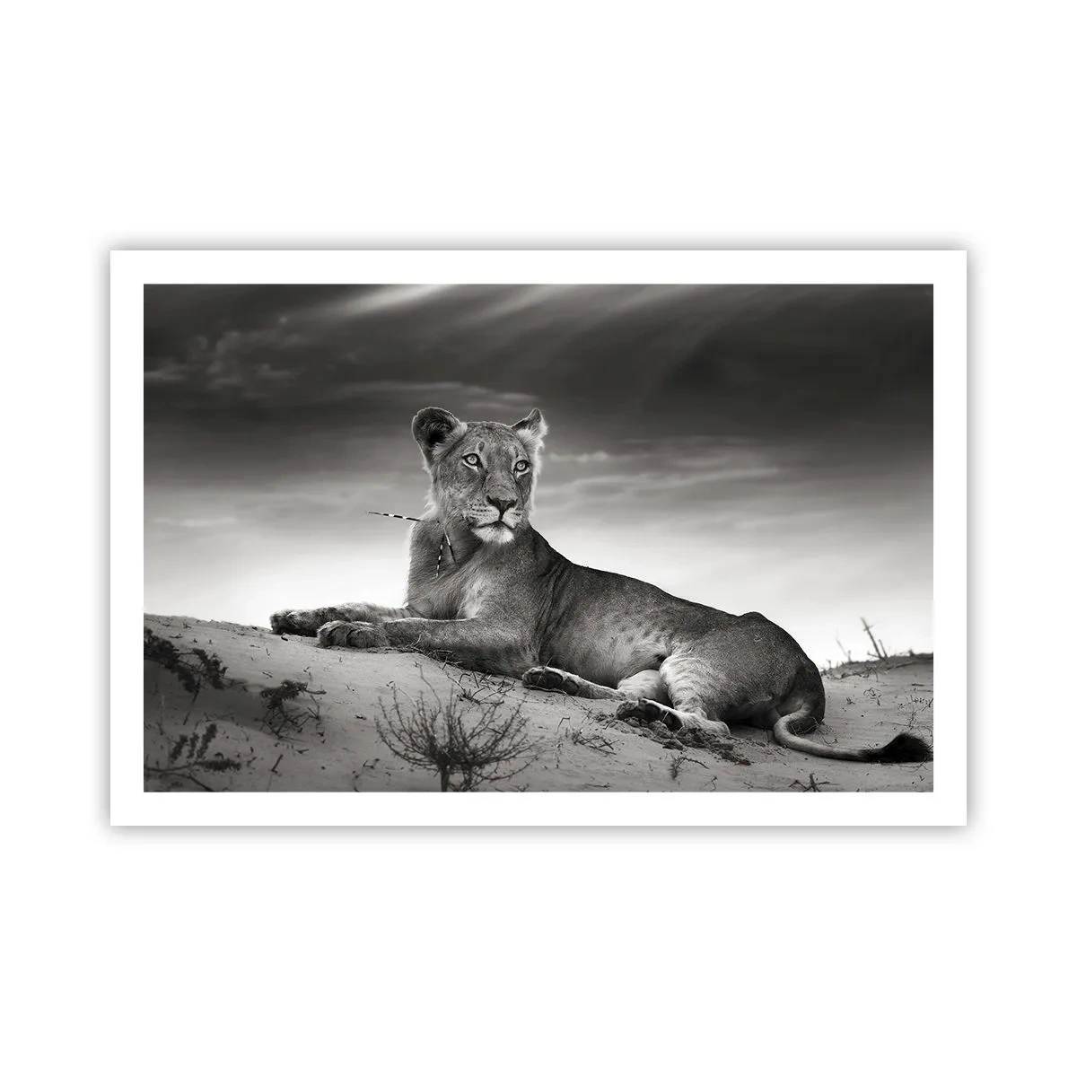 arttor3-211098