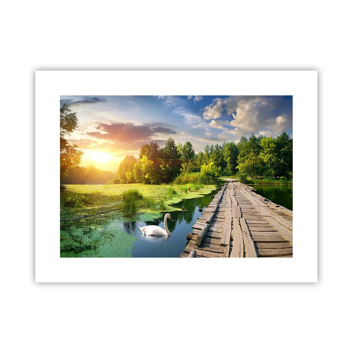 arttor3-212907