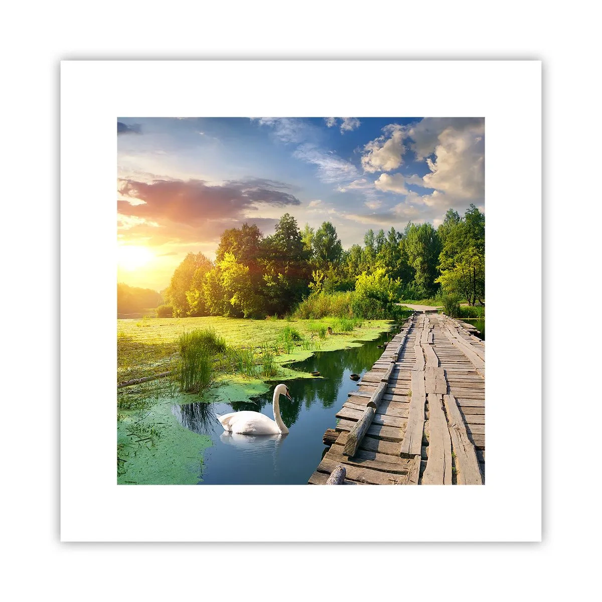 arttor3-212929