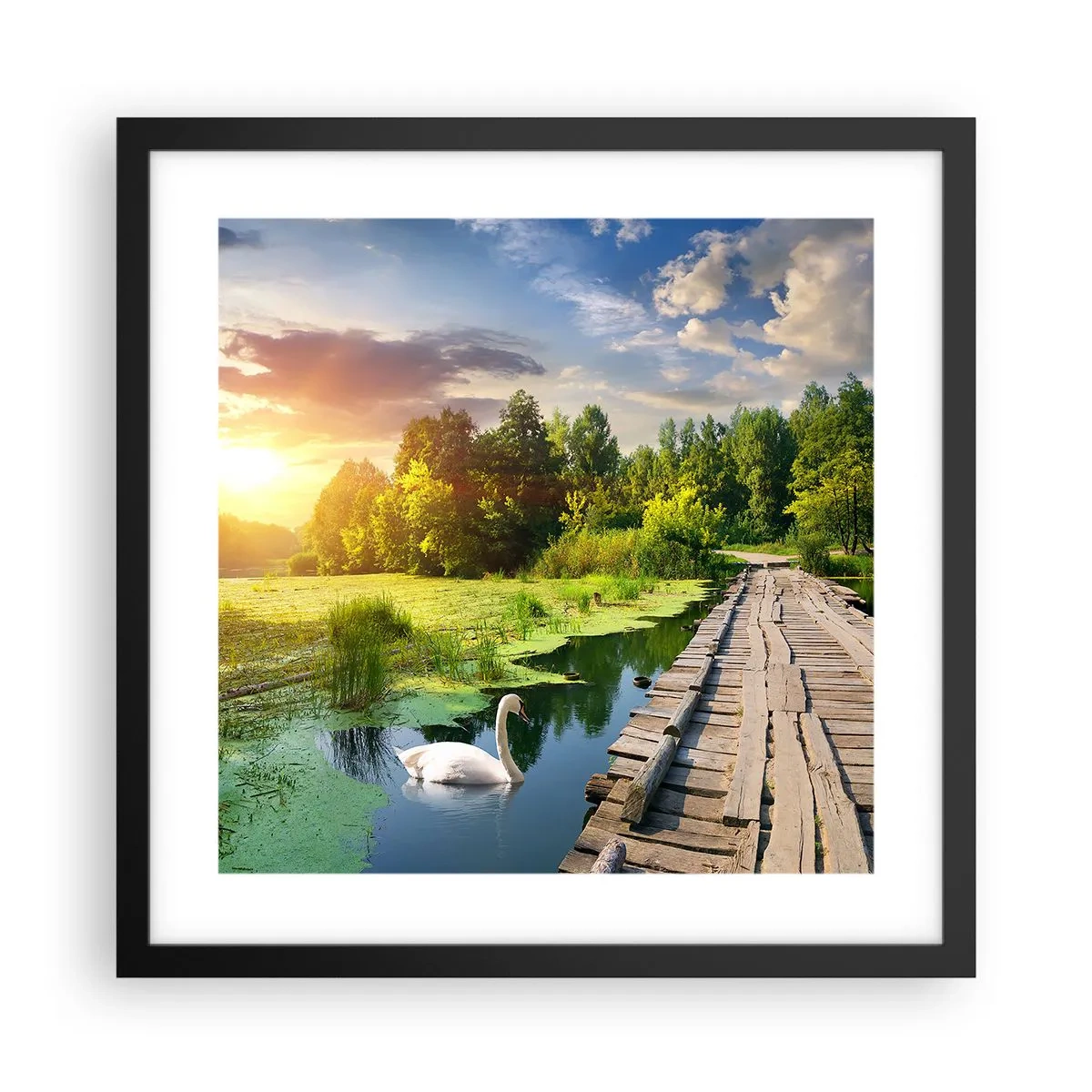 arttor3-213094